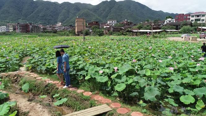 福建省 莆田市 城厢区 常太镇 溪南村 美丽乡村 图图荷园