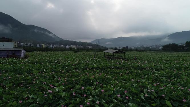 福建省 莆田市 城厢区 常太镇 溪南村 美丽乡村 图图荷园