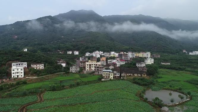 福建省 莆田市 城厢区 常太镇 溪南村 美丽乡村 图图荷园