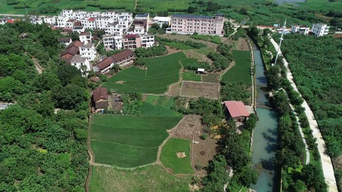 福建省 莆田市 城厢区 常太镇 岭下村 风景 航拍
