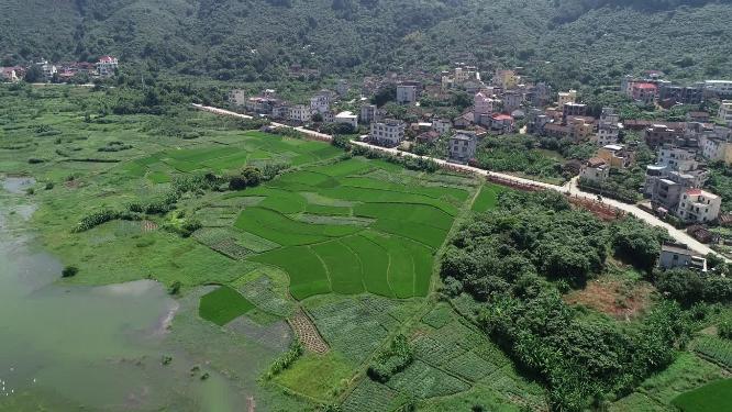 福建省 莆田市 城厢区 常太镇 岭下村 风景 航拍