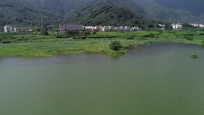 福建省 莆田市 城厢区 常太镇 岭下村 风景 航拍