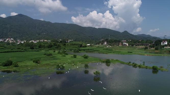 福建省 莆田市 城厢区 常太镇 岭下村 风景 航拍