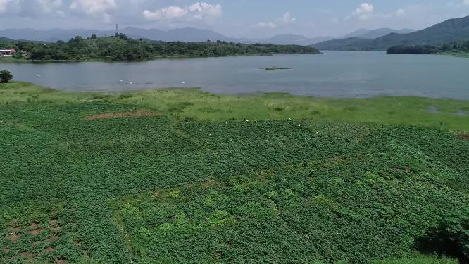福建省 莆田市 城厢区 常太镇 岭下村 风景 航拍