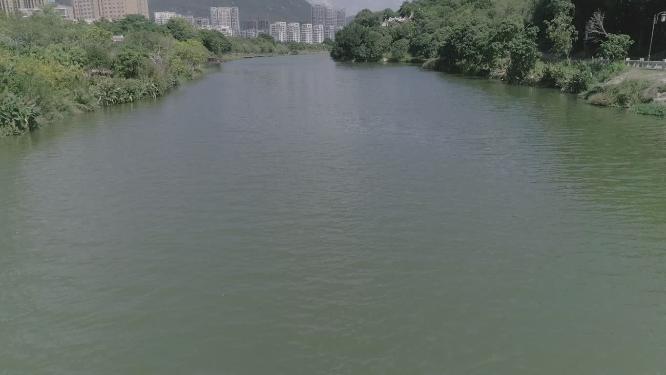福建省 莆田市 城厢区 莆田市博物馆 航拍