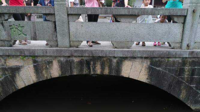 福建省 莆田市 城厢区 广化寺 航拍