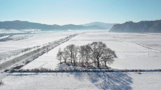 4k航拍雪后的山林
