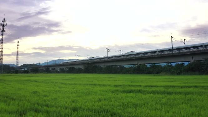 大美逆光复兴号高铁田间飞驰过