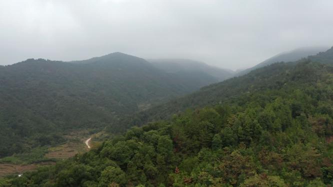 山间森林绿色生态航拍