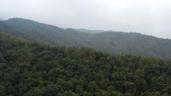 山间森林绿色航拍