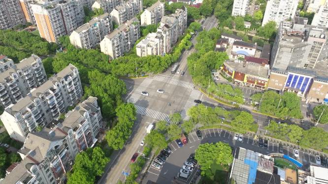 城市马路口车流绿色生态航拍