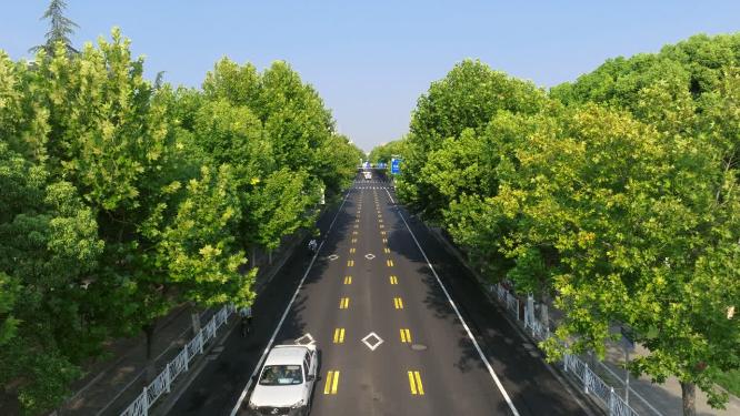 城市马路口车流绿色生态航拍