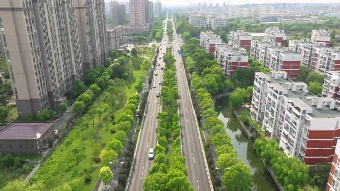 城市马路口车流绿色生态航拍