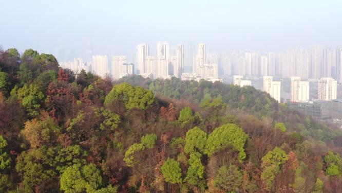 城市隔山绿色生态航拍