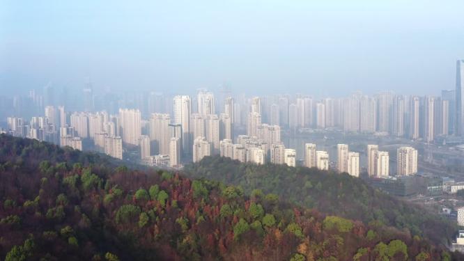 城市隔山绿色生态航拍