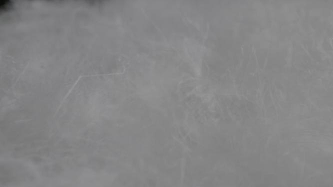 羽绒鸭绒鹅绒羽绒服原料LOG