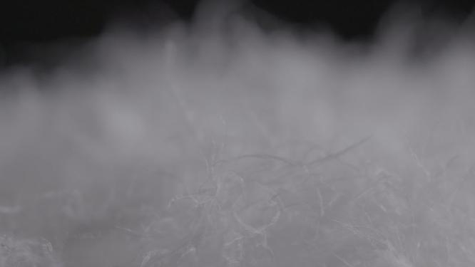 羽绒鸭绒鹅绒羽绒服原料LOG