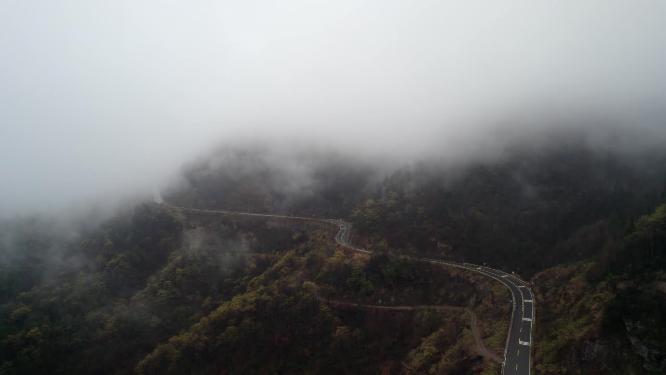 云雾山林擦木