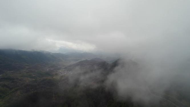 云雾山林擦木