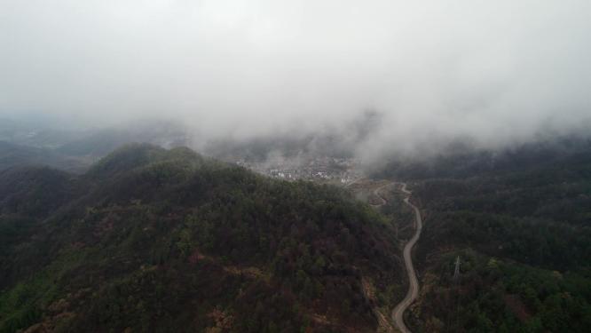 云雾山林擦木