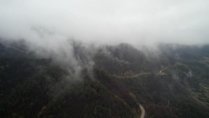 云雾山林擦木