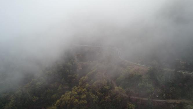 云雾山林擦木
