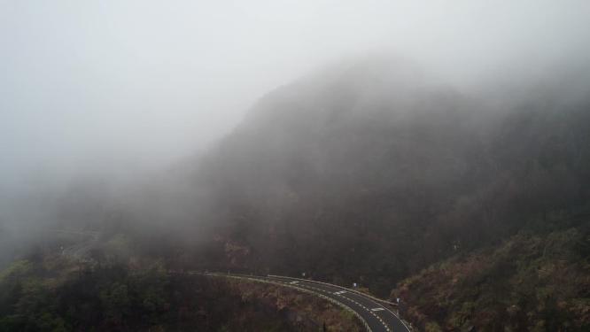 云雾山林擦木