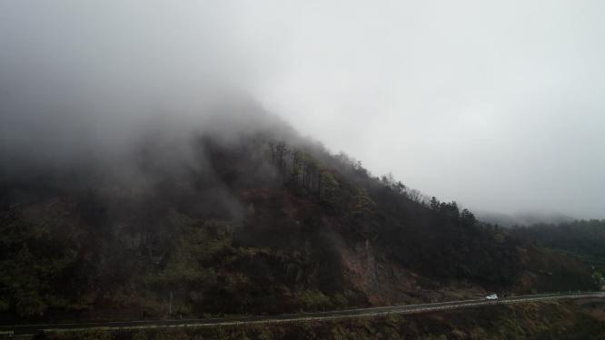 云雾山林擦木