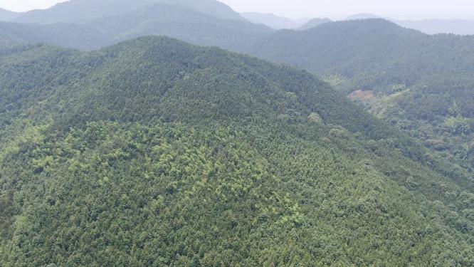航拍丘陵大山森林植被
