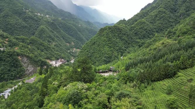 航拍大山森林