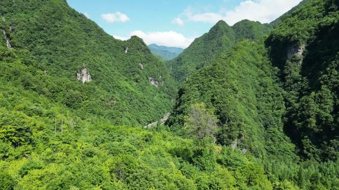 航拍湖北神农架大山峡谷交通公路