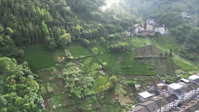 航拍湖北神农架红坪镇