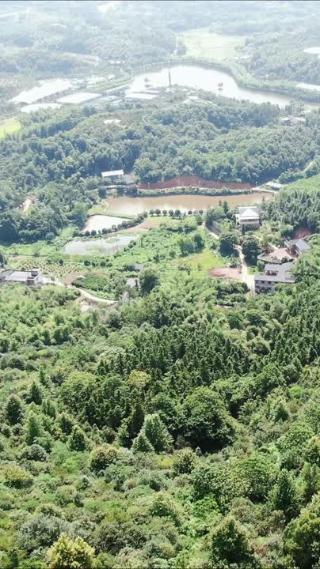 旅游景区湖南湘潭盘龙大观园八合塔