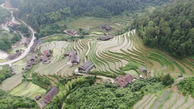 航拍农业种植梯田风光