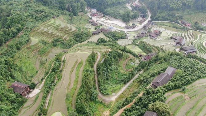 航拍农业种植梯田风光
