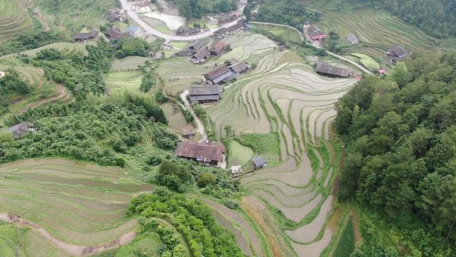 航拍农业种植梯田风光