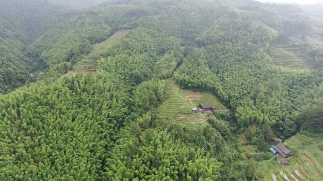 航拍农业种植梯田风光