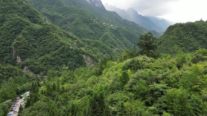 航拍大山森林