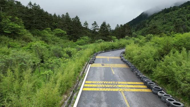 航拍湖北神农架景区神农营