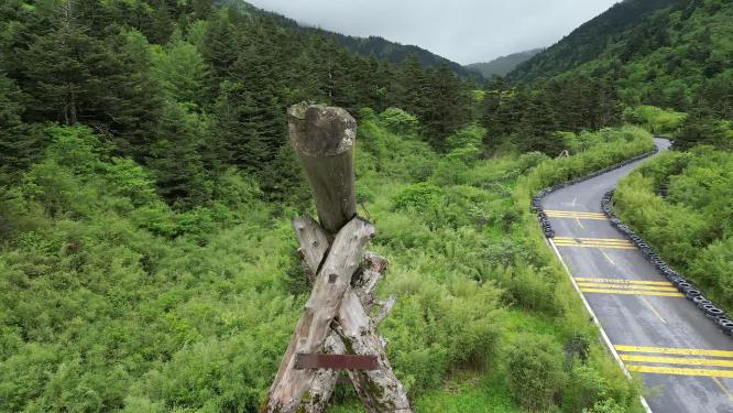航拍湖北神农架景区神农营