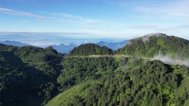 航拍湖北神农架神农顶景区盘山公路