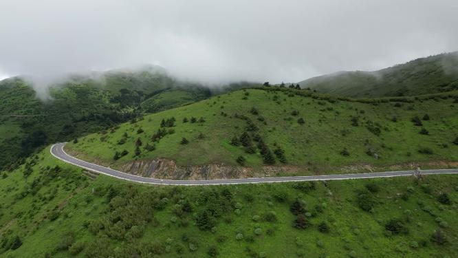 航拍湖北神农架神农顶景区盘山公路