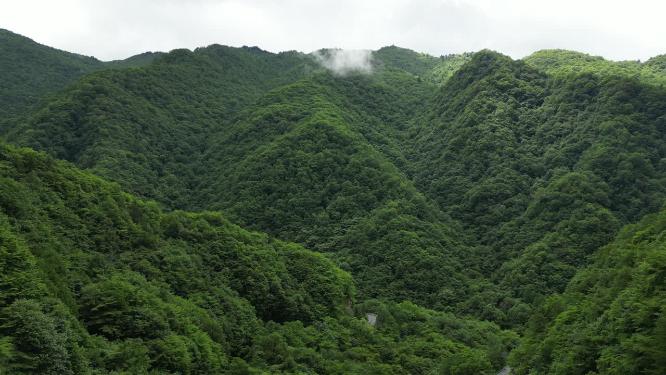 航拍雄伟大山森林自然风光
