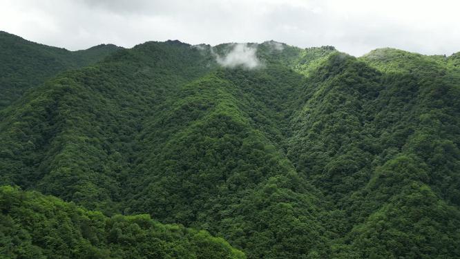 航拍雄伟大山森林自然风光