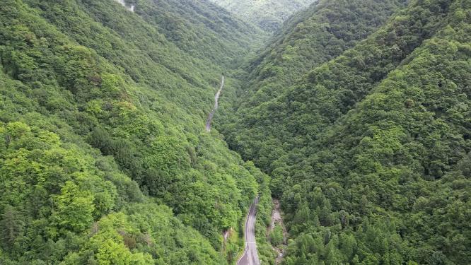 航拍雄伟大山森林自然风光
