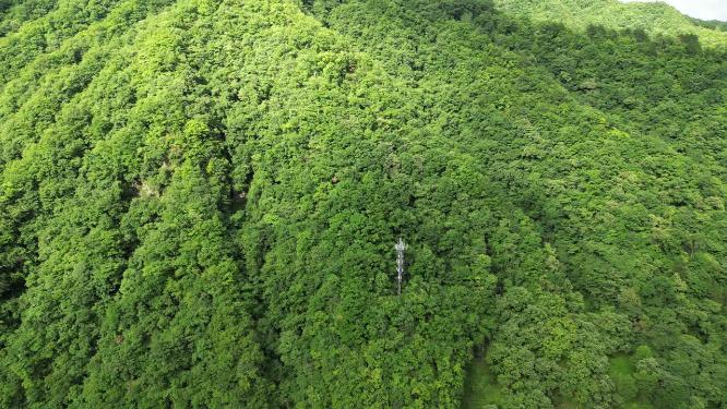 航拍雄伟大山森林自然风光