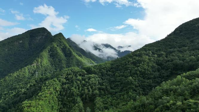 航拍高山森林云海自然风光