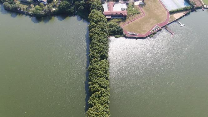 航拍湖北武汉东湖公园东湖景区