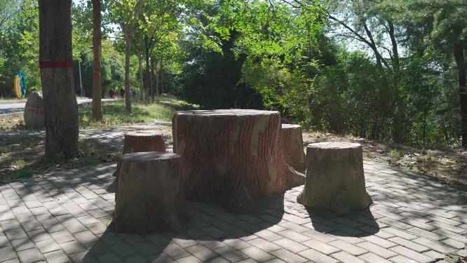公园树木山林