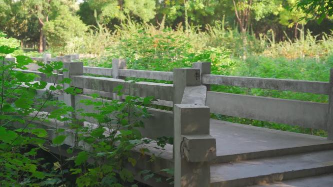 阳光湖泊高楼建筑